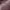 https://res.cloudinary.com/billionhands/image/upload/v1775011876/items/sjfskges9qxcajjceesu.jpg-1cover