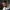 https://res.cloudinary.com/billionhands/image/upload/v1775012050/items/yxyd9hk2ogtscyqofis1.webp-0cover