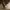 https://res.cloudinary.com/billionhands/image/upload/v1775012085/items/dlgwziyuije7ofaxne8r.jpg-3cover