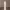 https://res.cloudinary.com/billionhands/image/upload/v1775012230/items/i1d4wqb71vy9syzv29hx.avif-1cover