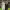 https://res.cloudinary.com/billionhands/image/upload/v1775012263/items/hpse0womxi6bpbv6k0jo.jpg-2cover