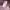 https://res.cloudinary.com/billionhands/image/upload/v1775012291/items/hmbq2igtgnmir6lemaig.webp-3cover