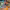 https://res.cloudinary.com/billionhands/image/upload/v1775012327/items/tqgyvopskebd6yi2e927.webp-3cover