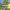 https://res.cloudinary.com/billionhands/image/upload/v1775012334/items/mwxwk9cpzxdmbwzyieep.jpg-3cover