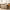Stickley cover