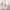 https://res.cloudinary.com/billionhands/image/upload/v1775012369/items/r5njjknwjekujyayml1r.jpg-0cover