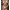https://res.cloudinary.com/billionhands/image/upload/v1775012426/items/trwqgn1hompurcsz4mbv.webp-0cover