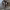 https://res.cloudinary.com/billionhands/image/upload/v1775012444/items/ttqvlpslhoxi15vbz4vu.webp-2cover