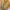 https://res.cloudinary.com/billionhands/image/upload/v1775012466/items/psrsblihrgyqxv15yoiw.jpg-2cover