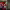 https://res.cloudinary.com/billionhands/image/upload/v1775012600/items/lvhp9oingttmdpni6r2s.jpg-1cover