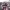 https://res.cloudinary.com/billionhands/image/upload/v1775012877/items/ddthjwzw6xifmbueeeeo.webp-0cover