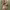 https://res.cloudinary.com/billionhands/image/upload/v1775012886/items/r3ymuwx49ektoi9gm7cr.jpg-0cover