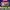 https://res.cloudinary.com/billionhands/image/upload/v1775012983/items/t9kxqg8bkuymqdufnq32.jpg-2cover
