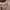 https://res.cloudinary.com/billionhands/image/upload/v1775012995/items/r4evs6vrssfpgz3kkpou.jpg-2cover