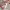 https://res.cloudinary.com/billionhands/image/upload/v1775013017/items/af7yeimj1hr4zgjkhchn.webp-2cover