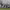https://res.cloudinary.com/billionhands/image/upload/v1775013069/items/vs4ok0pzdkipdryvcffm.webp-1cover