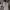 https://res.cloudinary.com/billionhands/image/upload/v1775013140/items/j4du7aso6nusfwwoiyix.webp-0cover