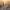 https://res.cloudinary.com/billionhands/image/upload/v1775013233/items/b1bryeg12f30ik0a8vaj.webp-2cover