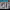 https://res.cloudinary.com/billionhands/image/upload/v1775013350/items/mwwuzyjoahzhnoiehiot.jpg-2cover