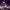 https://res.cloudinary.com/billionhands/image/upload/v1775014059/items/rvqclv1hzjutqo6mi6co.jpg-0cover