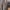 https://res.cloudinary.com/billionhands/image/upload/v1775014593/items/jgfh3ldb35mtlowieyjc.jpg-2cover