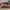 https://res.cloudinary.com/billionhands/image/upload/v1775014656/items/rwwowvdbpd4l7eooor2x.webp-0cover