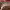 https://res.cloudinary.com/billionhands/image/upload/v1775014660/items/s8pvakce5up5jikrbimb.webp-2cover