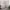 https://res.cloudinary.com/billionhands/image/upload/v1775014792/items/un3aegpz7g8ecqmzsrl9.jpg-1cover