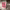 https://res.cloudinary.com/billionhands/image/upload/v1775014935/items/ixzdmtolyjw061y981lz.jpg-0cover