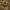 https://res.cloudinary.com/billionhands/image/upload/v1775014935/items/kdijsrpytwgdcfb5n7o1.jpg-1cover