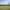 https://res.cloudinary.com/billionhands/image/upload/v1775014938/items/oiihpzw7wyx9ljoztnad.jpg-3cover