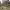 https://res.cloudinary.com/billionhands/image/upload/v1775014939/items/lf7ssxtcgwtowybqytcc.jpg-2cover