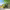 https://res.cloudinary.com/billionhands/image/upload/v1775014963/items/zk9lltwbbjyeqzo10qez.avif-2cover