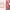 https://res.cloudinary.com/billionhands/image/upload/v1775014964/items/myzpz9g1rxcsgtigofr4.jpg-0cover