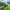 https://res.cloudinary.com/billionhands/image/upload/v1775014978/items/tevceb7hpnwhybg0nyzd.jpg-2cover