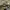 https://res.cloudinary.com/billionhands/image/upload/v1775015035/items/z61ttcaopogb47uippk7.avif-1cover