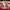 https://res.cloudinary.com/billionhands/image/upload/v1775015074/items/ggtrseg3pzgbf25xoow6.jpg-0cover