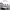 Tomorrow I Will Still Be Alive cover