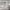 https://res.cloudinary.com/billionhands/image/upload/v1775016321/items/fjeerz3t3b3paltuzqge.jpg-0cover