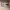 https://res.cloudinary.com/billionhands/image/upload/v1775016326/items/xthubbtyipj08thqilvy.jpg-2cover