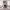 https://res.cloudinary.com/billionhands/image/upload/v1775016574/items/vbpti1e5k6uqjagq2kqe.avif-3cover