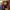 https://res.cloudinary.com/billionhands/image/upload/v1775016577/items/aqxtiobs50lvb4nsaeik.webp-1cover