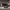 https://res.cloudinary.com/billionhands/image/upload/v1775016853/items/nosh6wud6zb2uzze3pyo.jpg-2cover