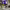 https://res.cloudinary.com/billionhands/image/upload/v1775016853/items/ntdofzqgwiobrndgtslj.webp-3cover