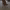 https://res.cloudinary.com/billionhands/image/upload/v1775016853/items/oyumaczpekby7zlxblvu.jpg-3cover