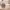 https://res.cloudinary.com/billionhands/image/upload/v1775017014/items/xisq2meope0p50khliak.png-0cover