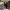 https://res.cloudinary.com/billionhands/image/upload/v1775017420/items/thpntcumhech61dvvhr8.jpg-0cover