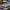 https://res.cloudinary.com/billionhands/image/upload/v1775017514/items/encdp7bjntfhqttb5apg.webp-2cover