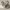 https://res.cloudinary.com/billionhands/image/upload/v1775017678/items/frdk1q7j6qfr3miklpzs.jpg-1cover