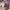https://res.cloudinary.com/billionhands/image/upload/v1775017684/items/mx3ysey3erlyjfdfccjy.jpg-3cover